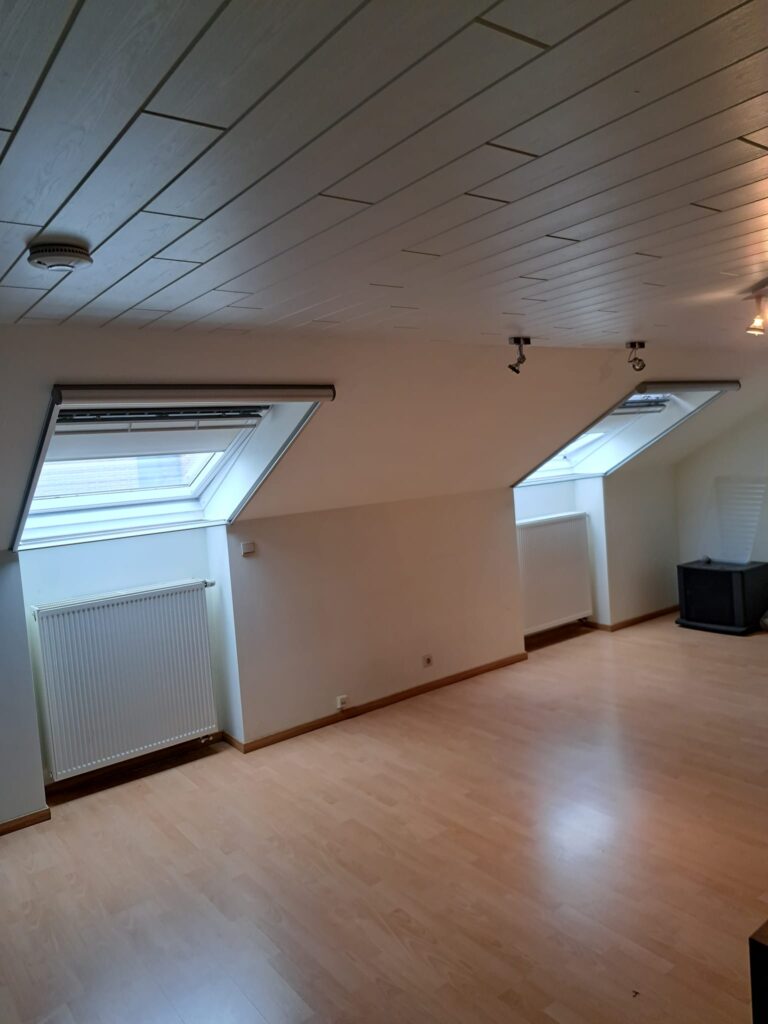 VELUX dakraam
